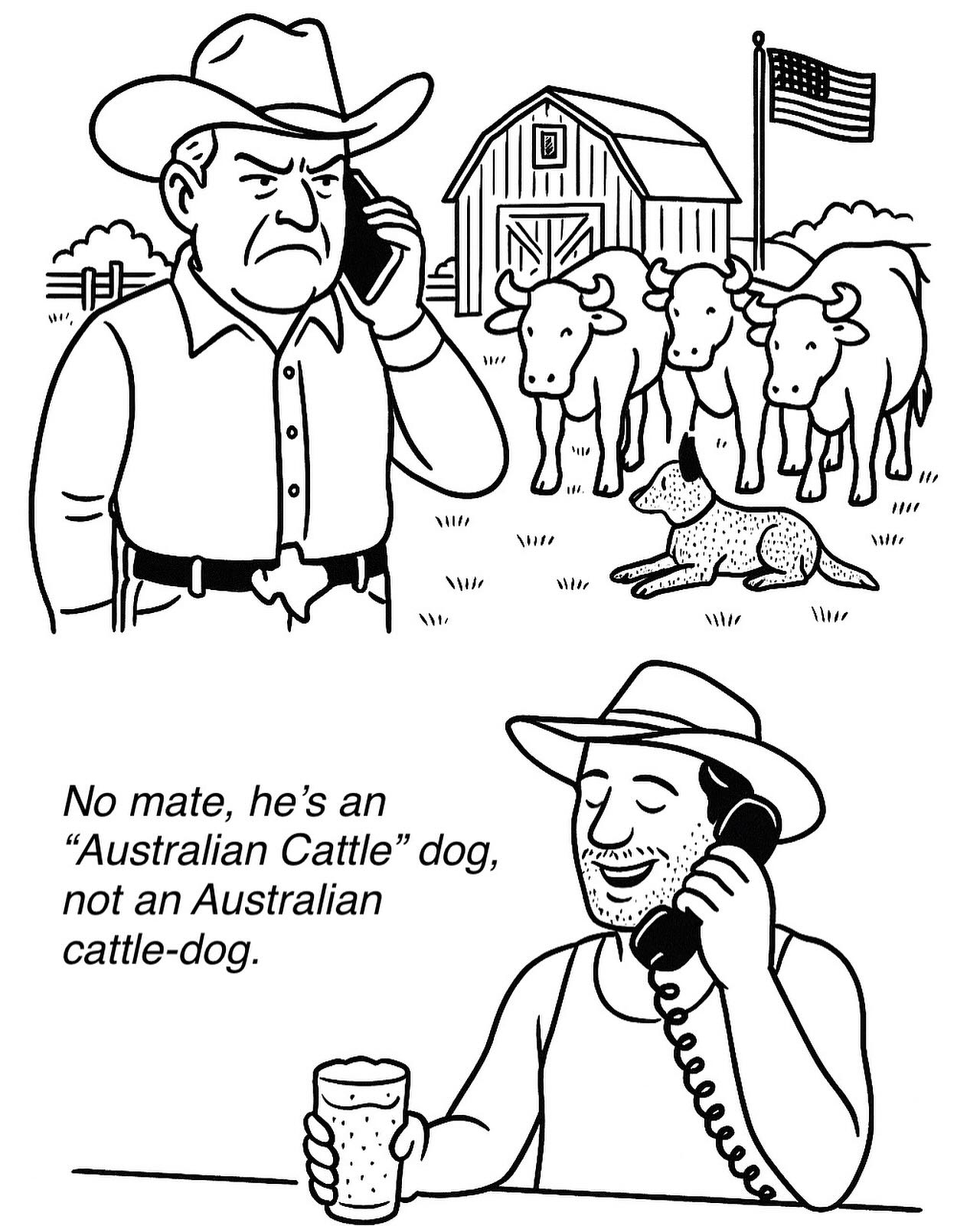 Aus Cattle Dog Nuance